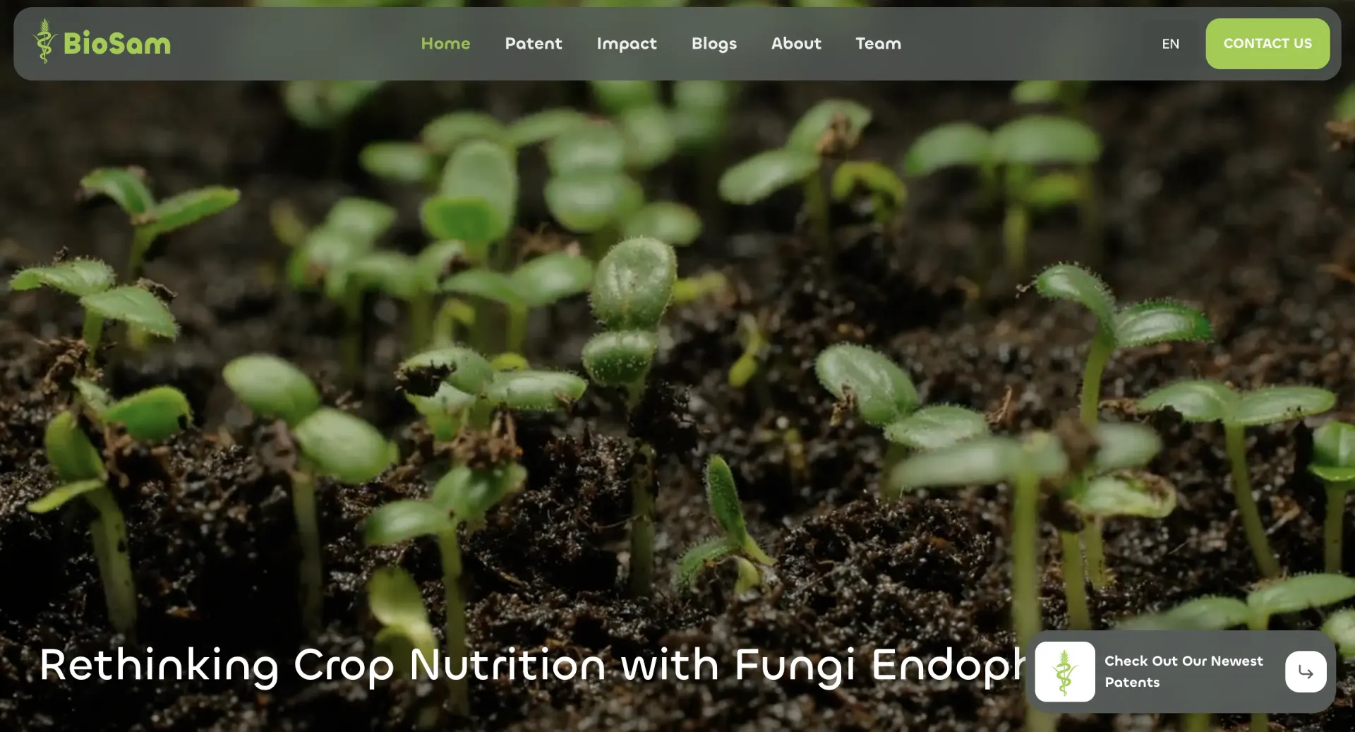 BioSam Biotechnological Engine website